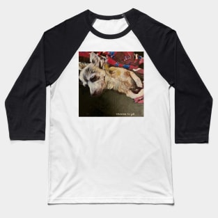 Sleeping Corgie Baseball T-Shirt